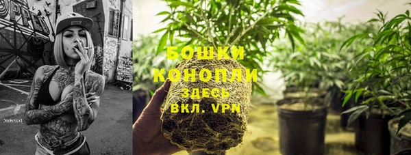 дмт Горнозаводск
