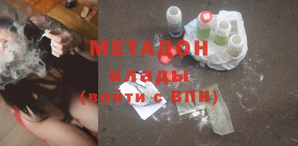 шишки Слюдянка