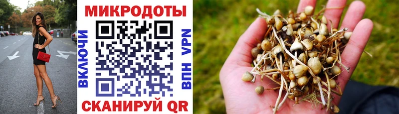 Псилоцибиновые грибы Psilocybine cubensis Зеленодольск