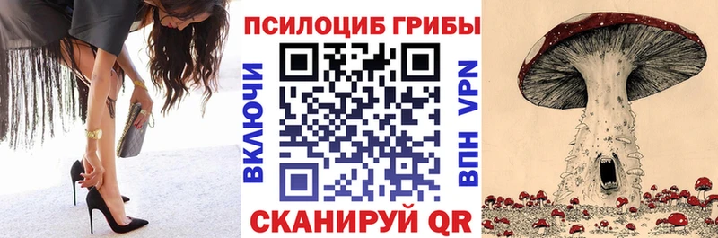 shop телеграм  Зеленодольск  Псилоцибиновые грибы мицелий  гидра ссылки 